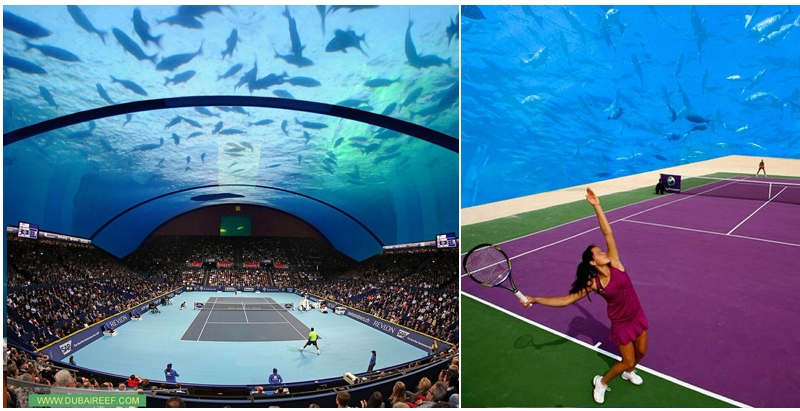 Architect scouts investors for underwater tennis court Building